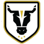 Bulls Academy