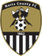 Notts County W