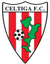 Celtiga
