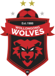 Wollongong Wolves U20