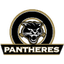 Panthères